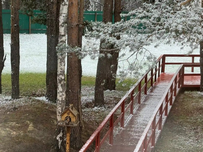 Здание и территория Клинического Института Мозга